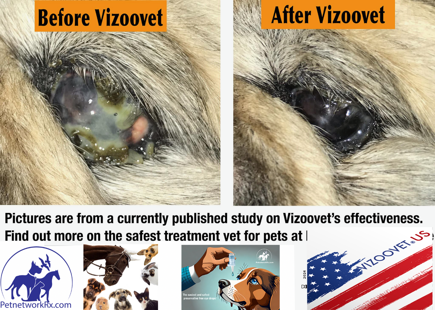 Vizoovet Plus Nanoparticle Mist 10 ml