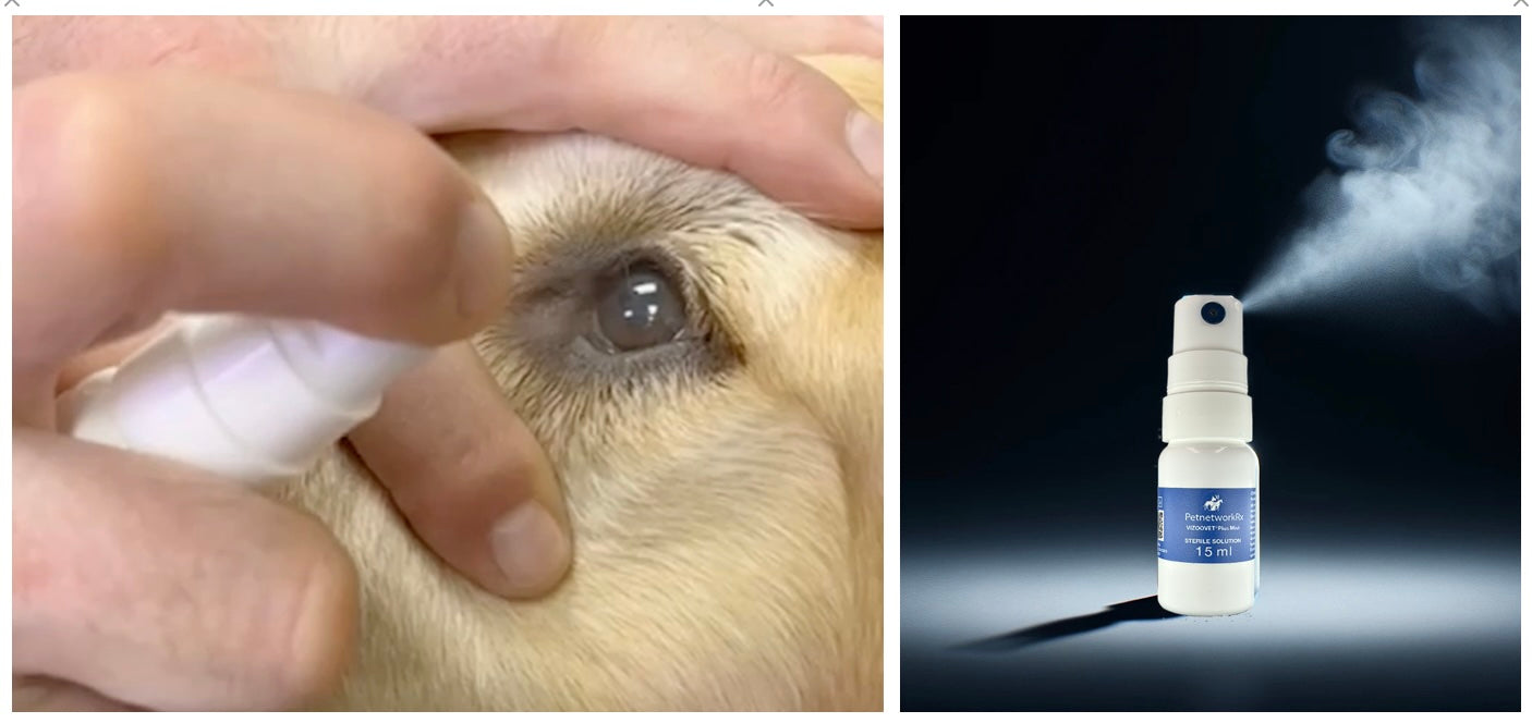 VIZOOVET PLUS  Nanoparticle Mist-Buy 5 get 1 free (6 total)