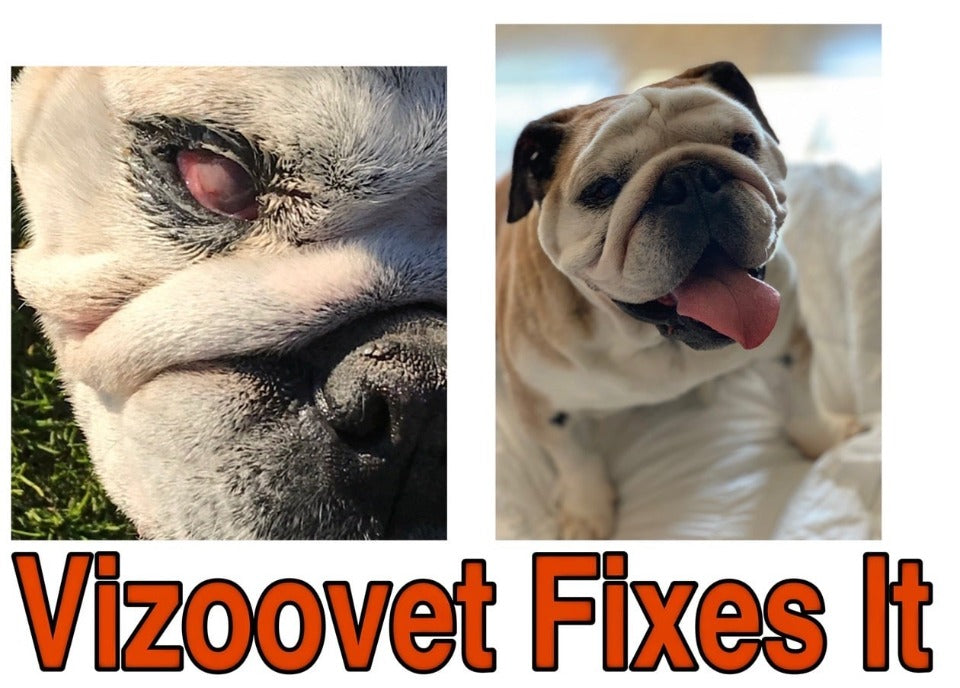 VIZOOVET