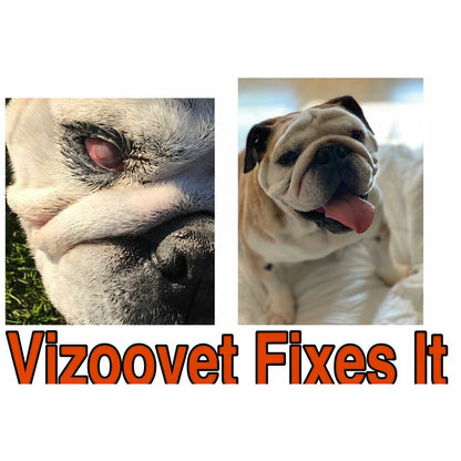 Vizoovet Protect 10ml Bottle - Petnetwork.shop