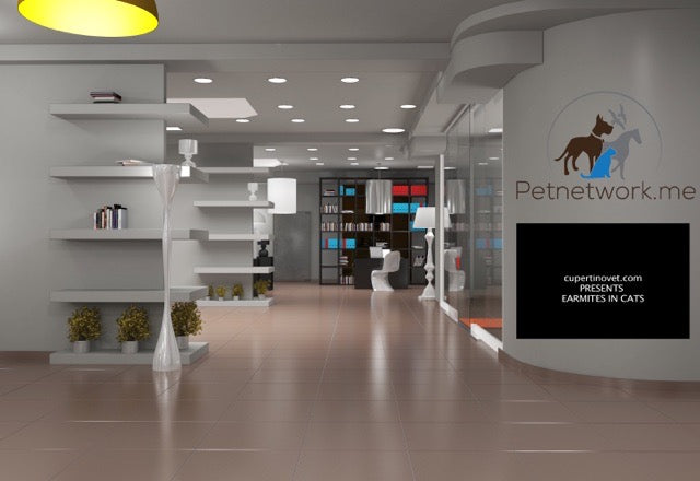 Virtual offices of Petnetwork