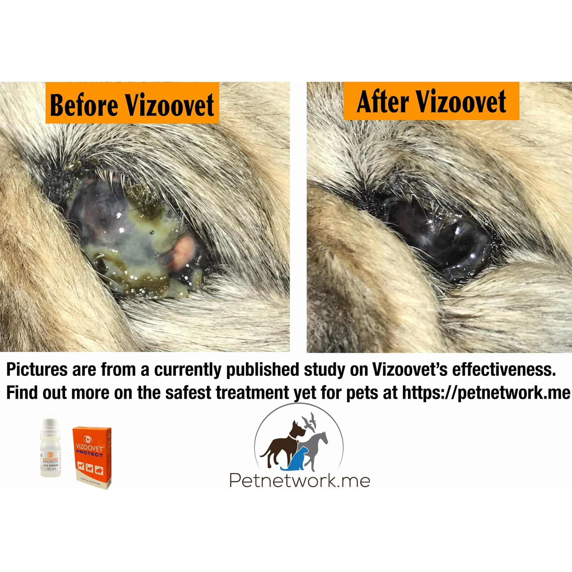 Vizoovet Protect 10ml Bottle - Petnetwork.shop