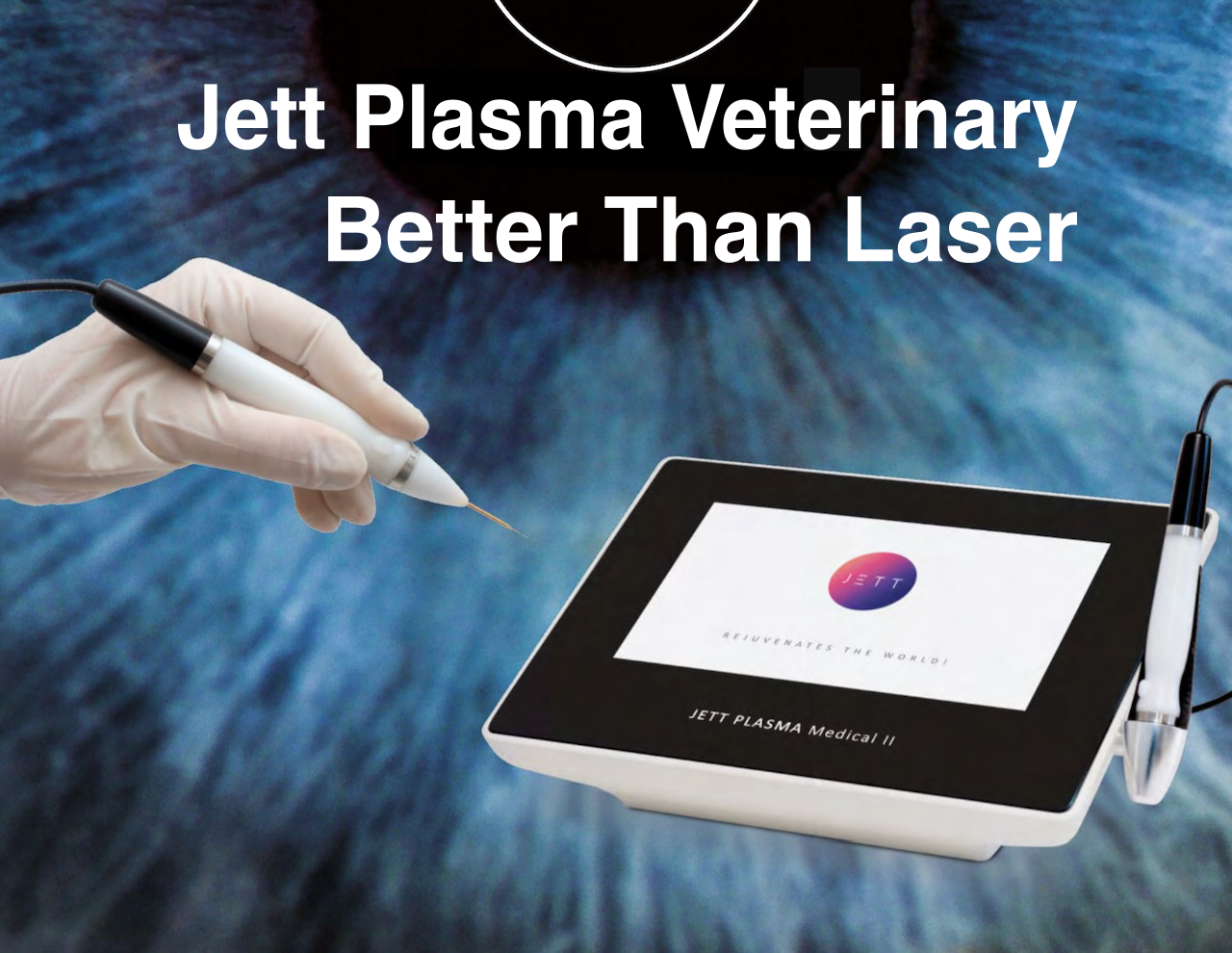 Jett Plasma Vet Indications in Veterinary Ophthalmology
