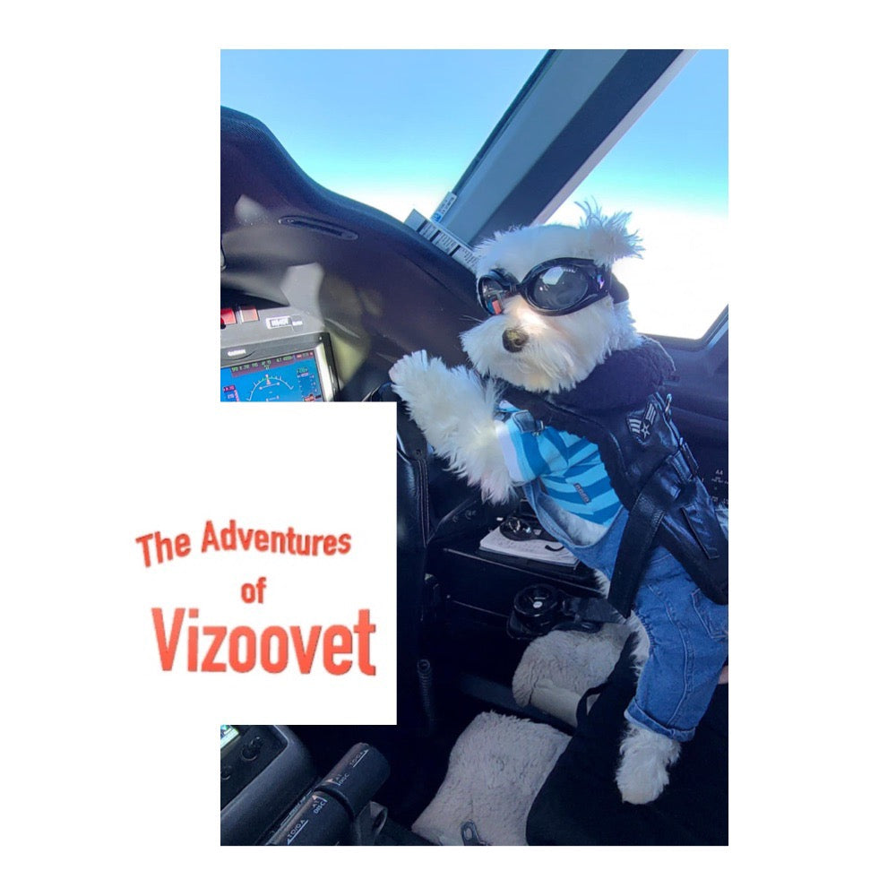 Vizoovet Protect 10ml Bottle - Petnetwork.shop